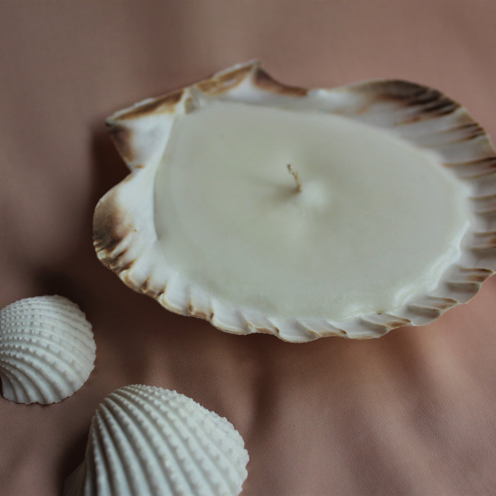 shell soy candle
